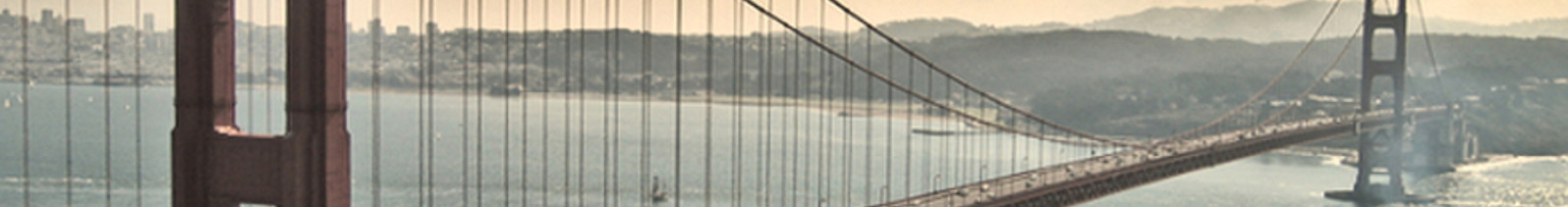 Das Mammutspiel - analog